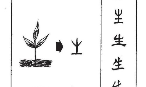 四块瓦的功效与作用禁忌-四块瓦的药用与功效与作用网 :分享四块瓦的别名叫什么名字-四块瓦的图片及药用知识