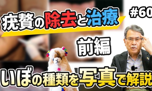 四块瓦的功效与作用禁忌-四块瓦的药用与功效与作用网 :分享四块瓦的别名叫什么名字-四块瓦的图片及药用知识